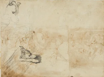 Schizzi di una battaglia equestre e la testa di un levriero