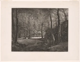 La foresta di Rochecardon