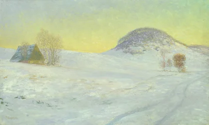 Montagna del falco nella neve
