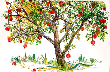 Albero di melograno, Monte Sereno (acquerello e inchiostro su carta)