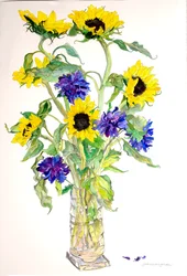 Girasoli Astri