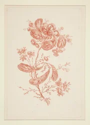 Senza Titolo (Fiori Ideali), da un set di sei