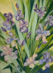 Iris in una bordura, 2023 (pastello su carta)