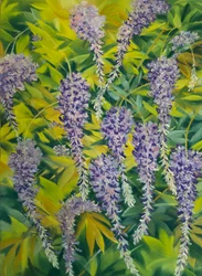 Fiori e fogliame di glicine 1, 2023 (pastello su carta)
