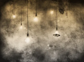 Falene e lampadine accese