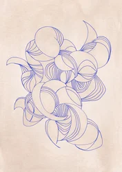 Linee fluide e organiche