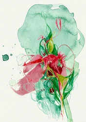 Fioritura astratta dai colori vivaci