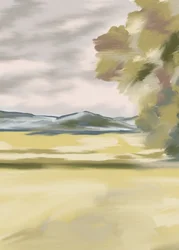 Serenità dei campi dorati