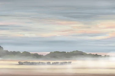Paesaggio mattutino nella nebbia