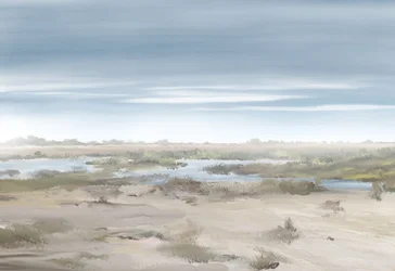 Paesaggio di una zona umida nebbiosa
