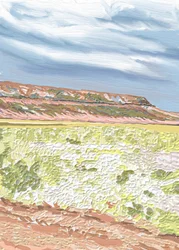 Ampia pianura desertica