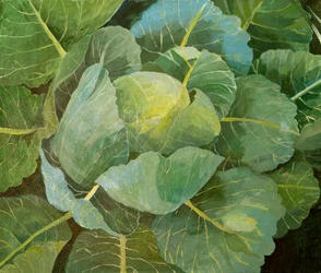 Cavolo (blu), 2014 (acrilico su tela)