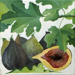 Fichi, 2013 (acrilico su tela)