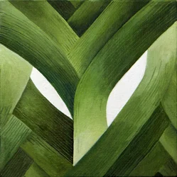 Porri, 2013 (acrilico su tela)