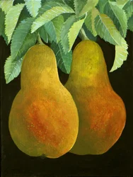 Pere, 2014 (acrilico su tela)