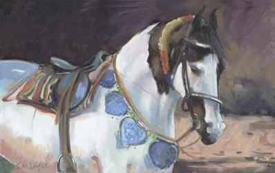 Cavallo Marwari II