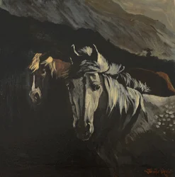 Pony di montagna