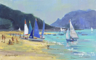 Barche a vela di Salcombe