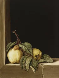 Mele cotogne