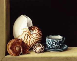 Natura morta con Nautilus