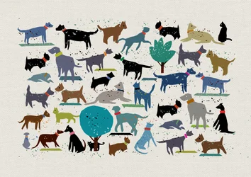 Amore per i cani, 2024