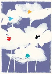 Fiori bianchi
