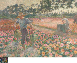 Le begonie (Il giardiniere)
