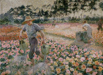 Le begonie (Il giardiniere)