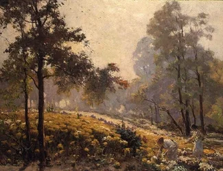 Donne che Raccolgono Fiori Gialli in un Paesaggio Boschivo