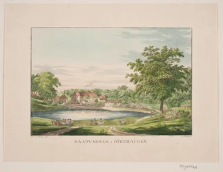 Rådvad dam a Dyrehaven