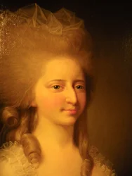Luisa Augusta di Danimarca