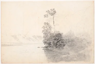 Paesaggio svizzero con alberi su una penisola in un lago