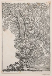 Illustrazione per le poesie di Oehlenschläger in "Gæa"
