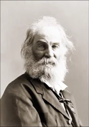 Ritratto di Walt Whitman di Gurney tra il 1880 e il 1890