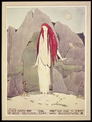 Illustrazione da 