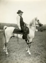 Homer Davenport, vignettista sul suo cavallo arabo, c.1905-12