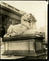 Il leone altezzoso davanti alla Biblioteca Capisce il Gertrude Steinish, New York, USA, c.1905-40