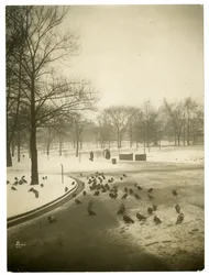 Freddo insolitamente rigido nel Common, Boston, USA, c.1902-10