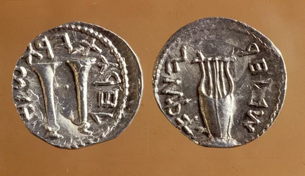 Monete dalla Rivolta di Bar Kochba, 134-135