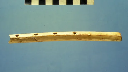 Flauto, Città di David, c.799-600 a.C.