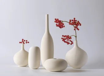 Vasi in ceramica con bacche rosse