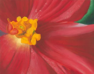 Fioritura rosso vivo