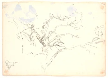 Studi di rami. Giardino di Classen
