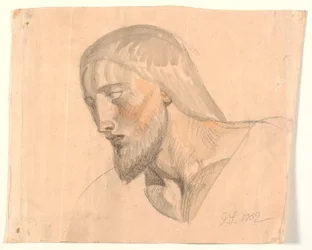 Studio di testa