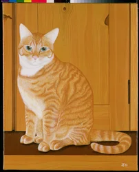 Gatto marmellata vicino a una porta