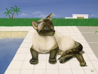 Gatto siamese vicino a una piscina