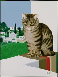 Gatto tigrato alla finestra