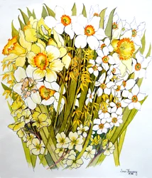Narcisi, narcisi, forsizia e primule, 2000