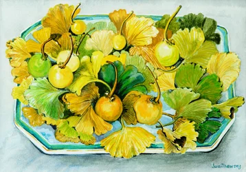 Ginkgo, frutti e foglie