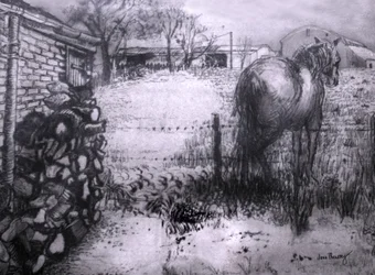 Cavallo che riposa la gamba, 2000